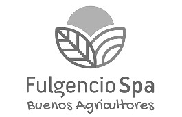 logo Fulgencio Spa-gris